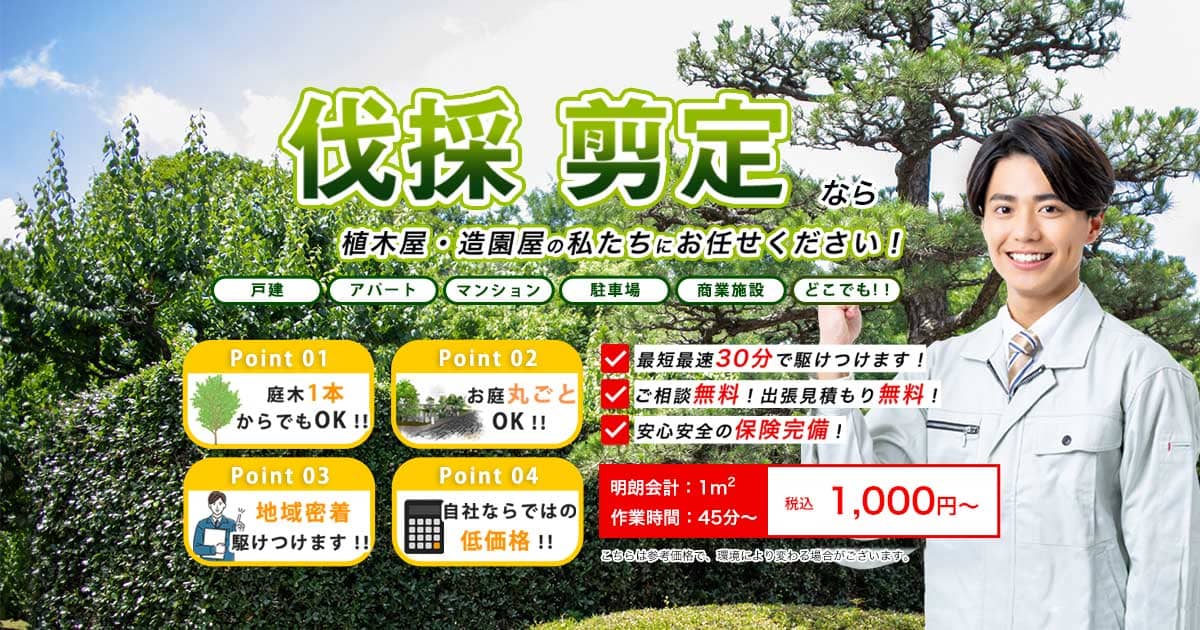 川崎の剪定伐採屋【ティンバーナイン】の外観