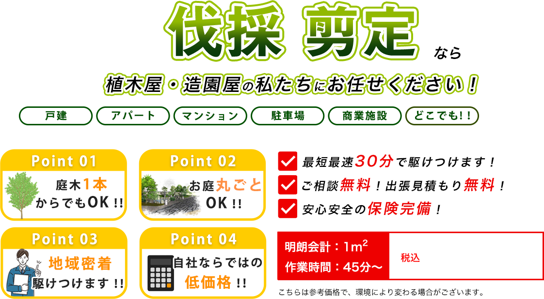 伐採 剪定なら植木屋・造園屋のティンバーナインにお任せください！　最短最速30分で駆けつけます！　ご相談無料！出張見積もり無料！　安心安全の保険完備！